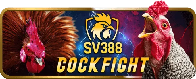 Trò chơi bài Slot777